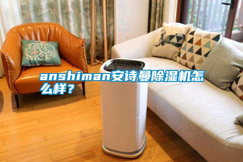 anshiman安诗曼除湿机怎么样？