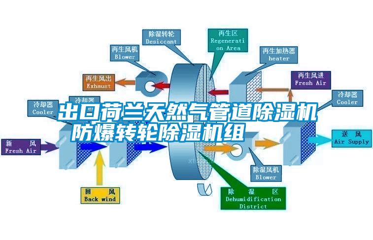 出口荷兰天然气管道除湿机 防爆转轮除湿机组