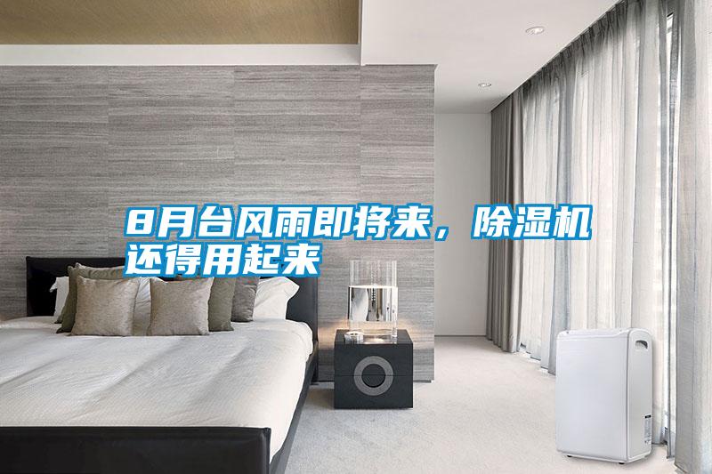 8月台风雨即将来，除湿机还得用起来