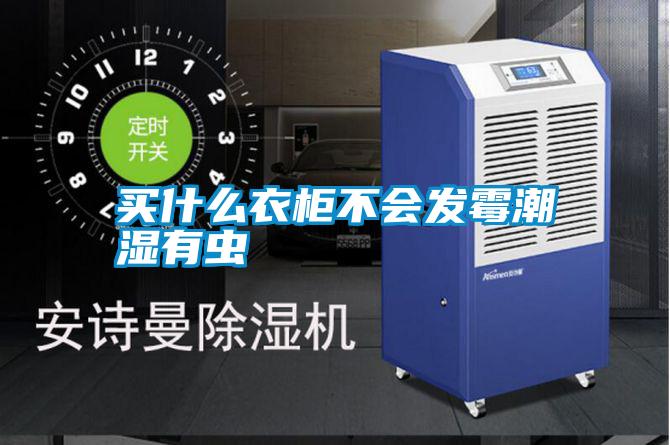 买什么衣柜不会发霉潮湿有虫