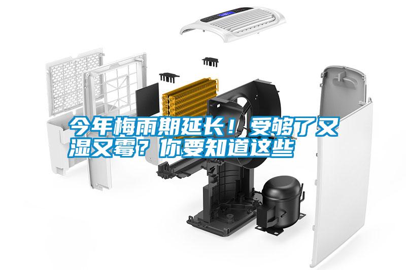 今年梅雨期延长！受够了又湿又霉？你要知道这些