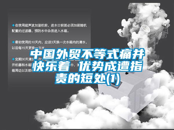 中国外贸不等式痛并快乐着 优势成遭指责的短处(1)