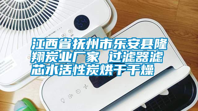 江西省抚州市乐安县隆翔炭业厂家 过滤器滤芯水活性炭烘干干燥