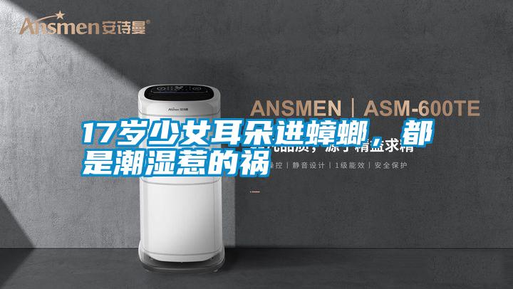 17岁少女耳朵进蟑螂，都是潮湿惹的祸