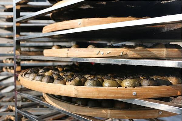 1527217512509796.jpg 柑普茶烘干摆放.jpg