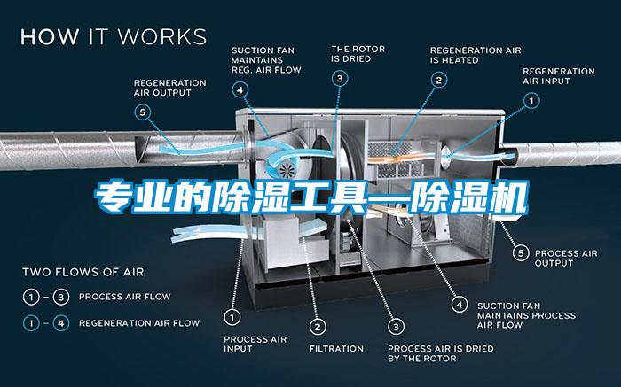 专业的除湿工具—除湿机