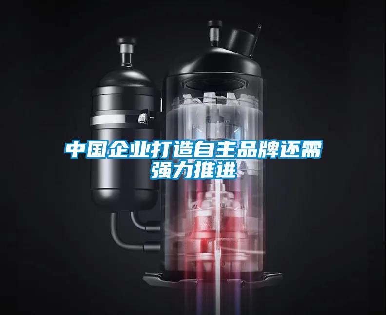 中国企业打造自主品牌还需强力推进