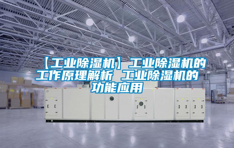 【工业除湿机】工业除湿机的工作原理解析 工业除湿机的功能应用