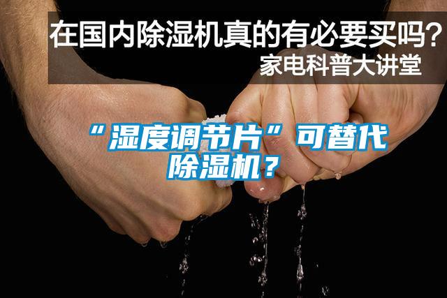 “湿度调节片”可替代除湿机？