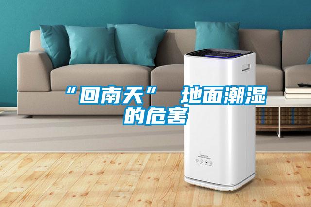 “回南天” 地面潮湿的危害