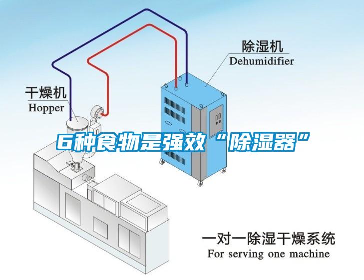 6种食物是强效“除湿器”