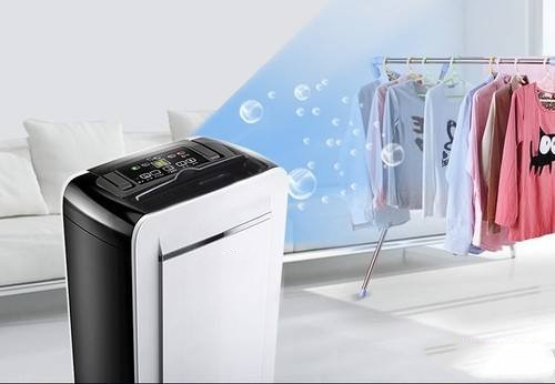 狗狗得了皮肤病,真凶竟是回南天?!