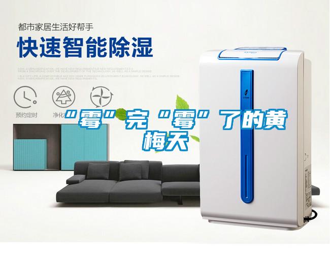 “霉”完“霉”了的黄梅天
