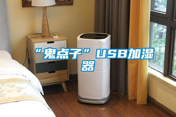 “鬼点子”USB加湿器