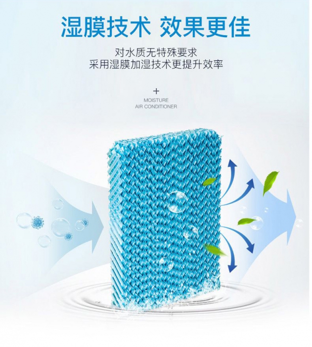 春天潮湿,教你家居防霉妙法