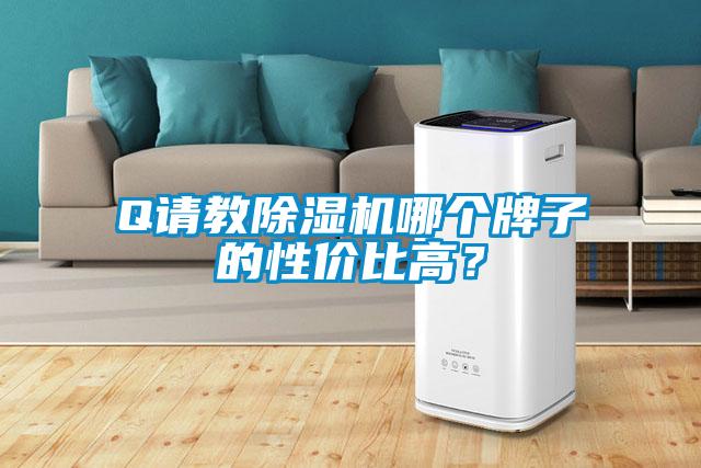 Q请教除湿机哪个牌子的性价比高？