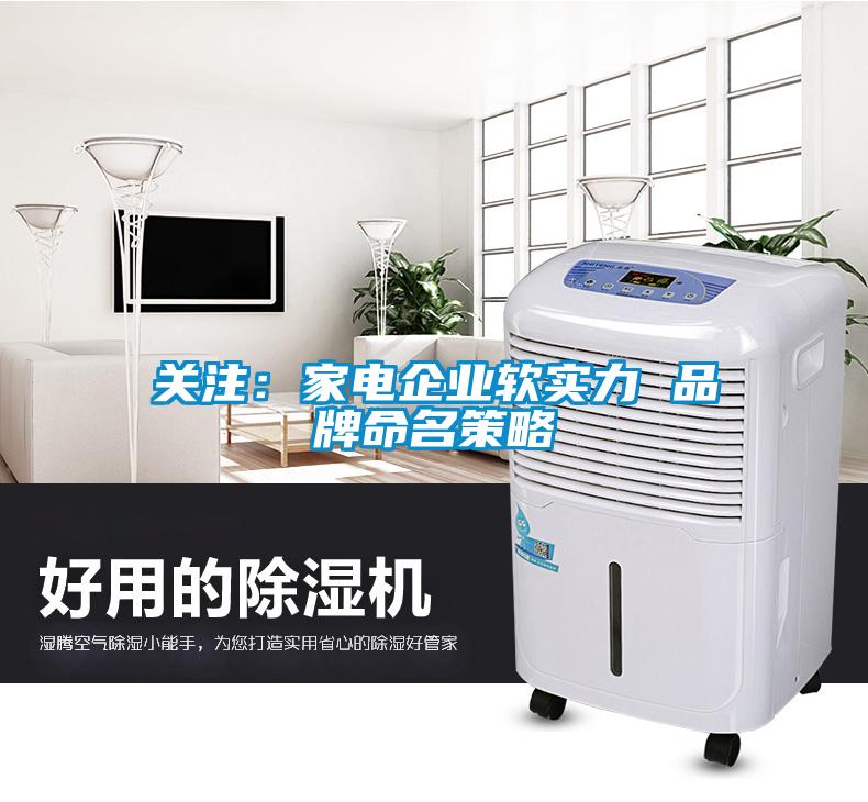 关注：家电企业软实力 品牌命名策略