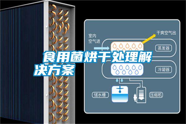 食用菌烘干处理解决方案