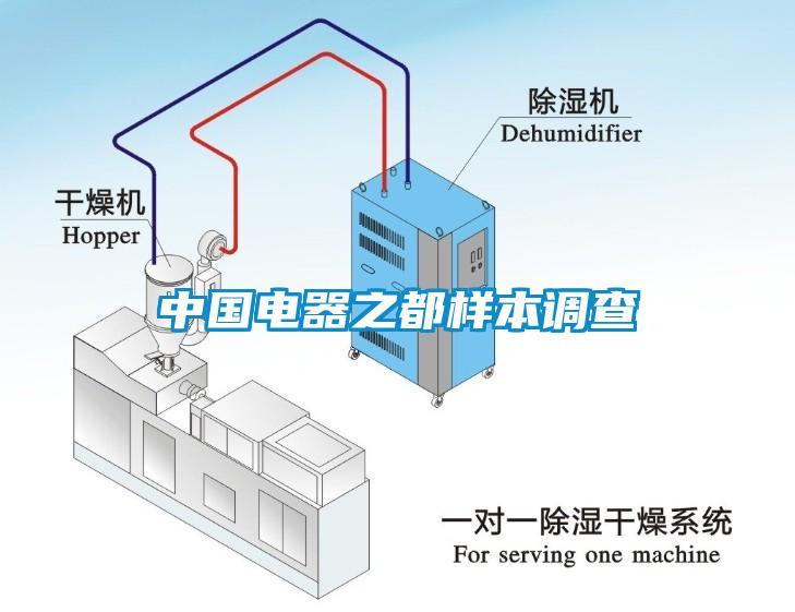 中国电器之都样本调查