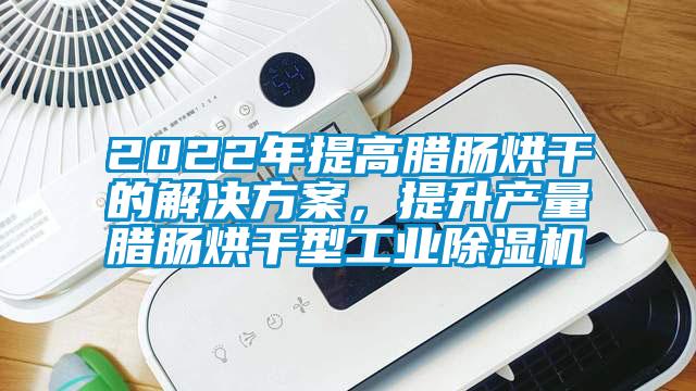 2022年提高腊肠烘干的解决方案，提升产量腊肠烘干型工业除湿机