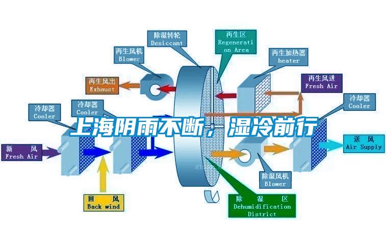 上海阴雨不断，湿冷前行