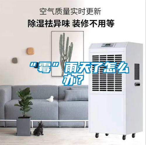 “霉”雨天了怎么办？
