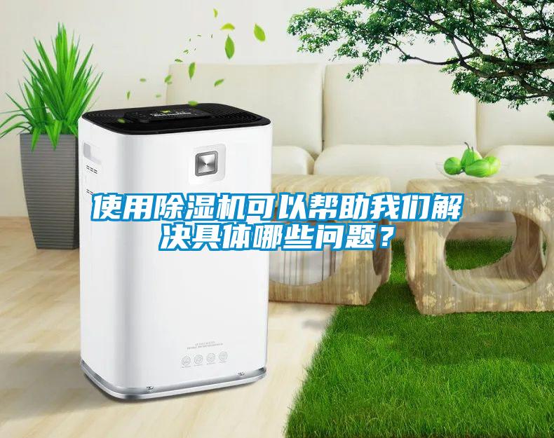使用除湿机可以帮助我们解决具体哪些问题？