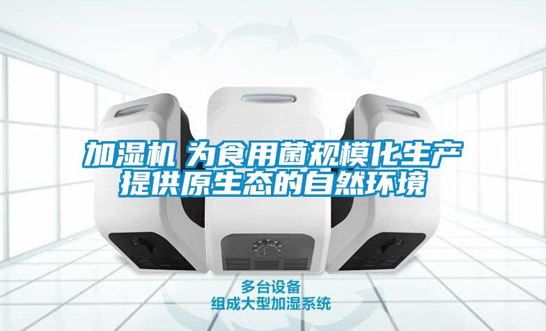 加湿机　为食用菌规模化生产提供原生态的自然环境