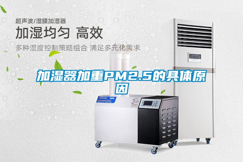 加湿器加重PM2.5的具体原因