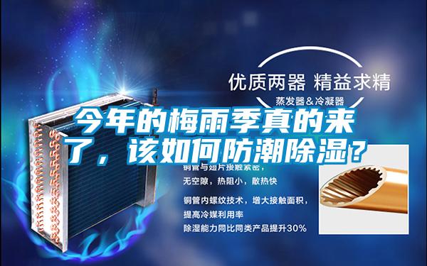 今年的梅雨季真的来了，该如何防潮除湿？