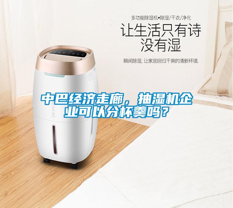 中巴经济走廊，抽湿机企业可以分杯羹吗？