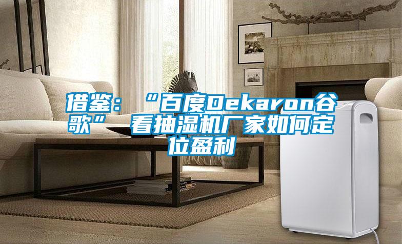 借鉴：“百度Dekaron谷歌” 看抽湿机厂家如何定位盈利