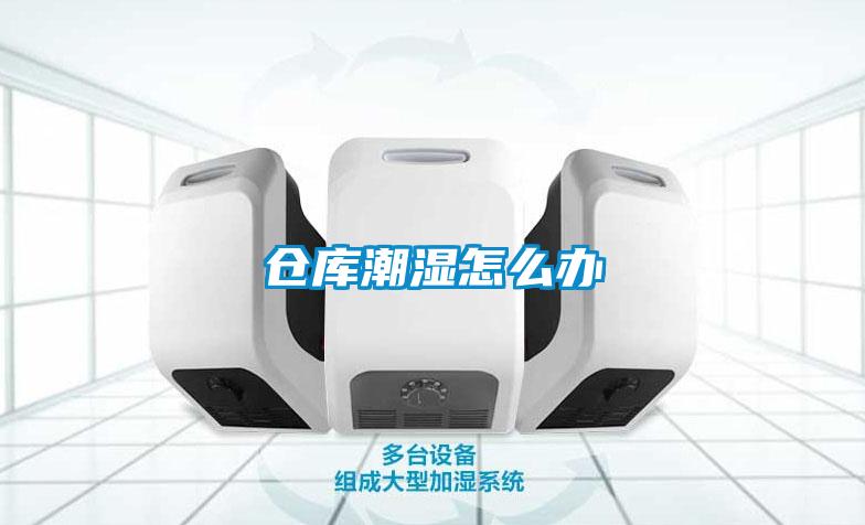 仓库潮湿怎么办