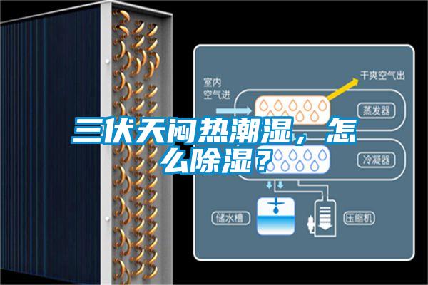 三伏天闷热潮湿,怎么除湿?