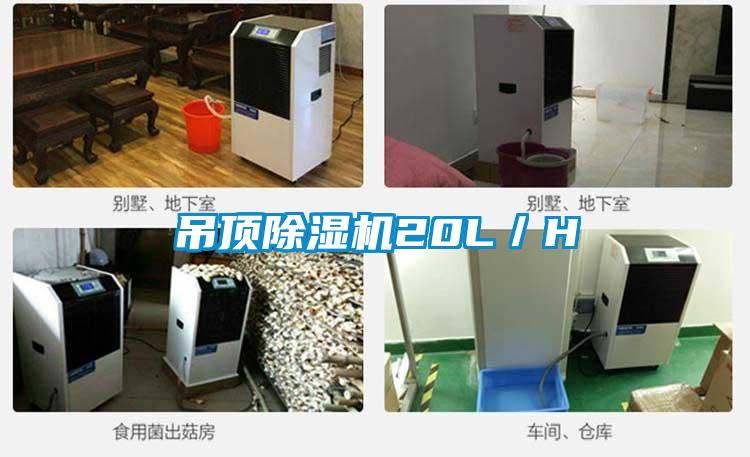 吊顶除湿机20L／H