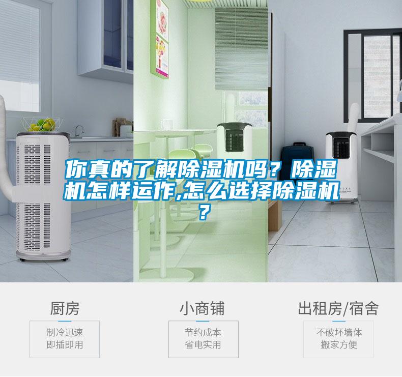 你真的了解除湿机吗？除湿机怎样运作,怎么选择除湿机？