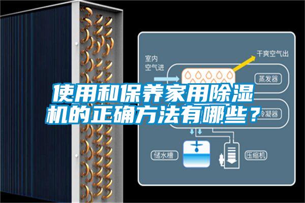 使用和保养家用除湿机的正确方法有哪些?