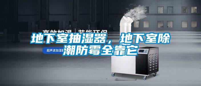 地下室抽湿器,地下室除潮防霉全靠它