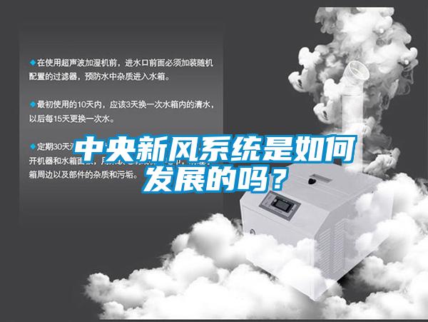 中央新风系统是如何发展的吗？