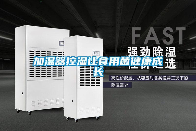 加湿器控湿让食用菌健康成长