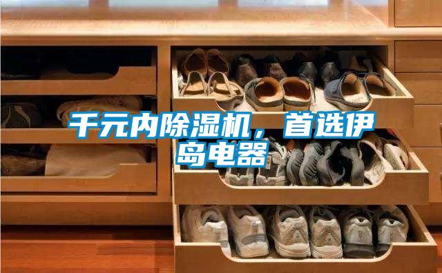 千元内除湿机，首选伊岛电器