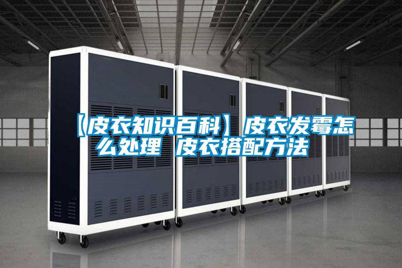 【皮衣知识百科】皮衣发霉怎么处理 皮衣搭配方法