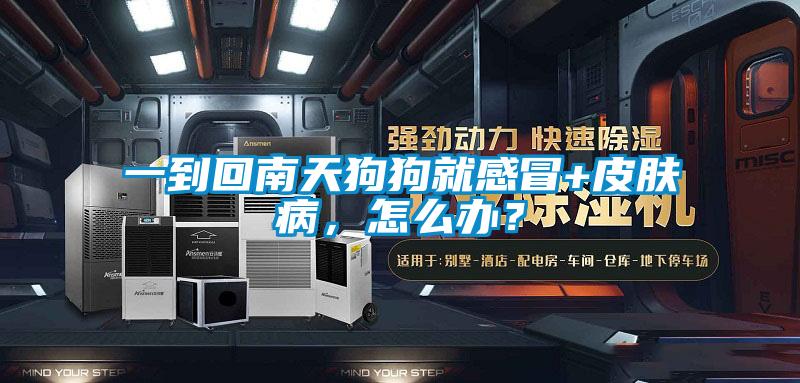 一到回南天狗狗就感冒+皮肤病,怎么办?