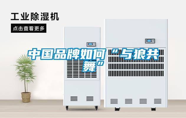 中国品牌如何“与狼共舞”