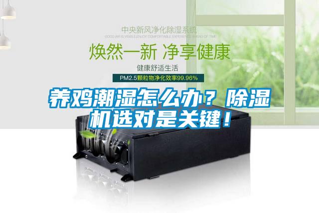 养鸡潮湿怎么办？除湿机选对是关键！
