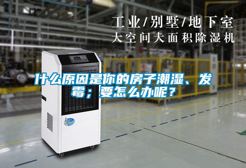 什么原因是你的房子潮湿、发霉；要怎么办呢？