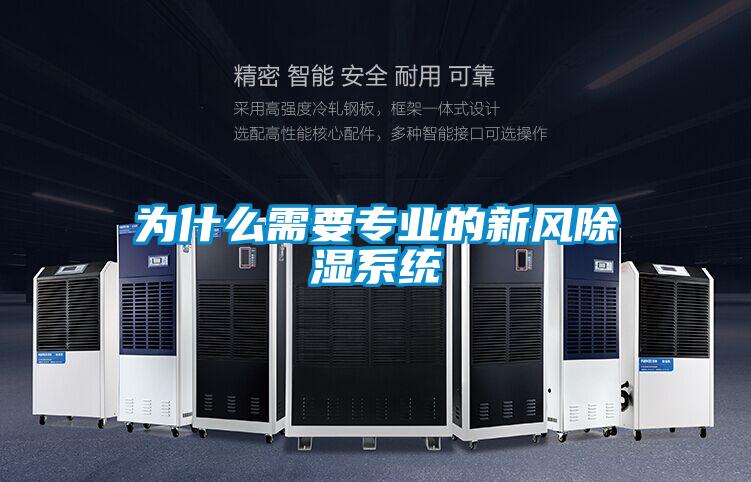 为什么需要专业的新风除湿系统