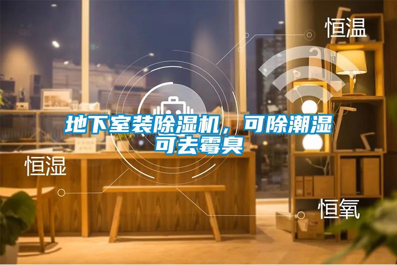 地下室装除湿机，可除潮湿可去霉臭