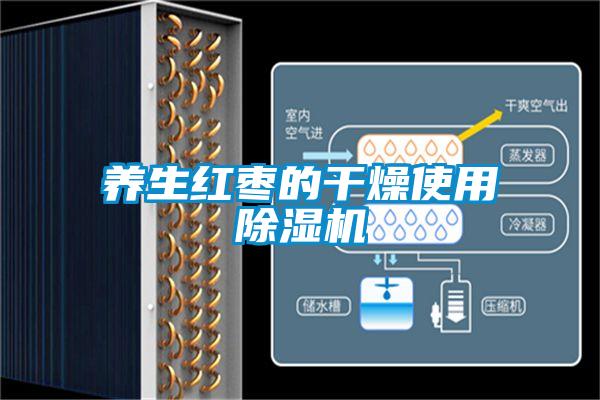 养生红枣的干燥使用除湿机