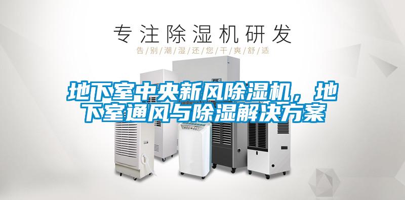 地下室中央新风除湿机,地下室通风与除湿解决方案